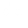 The Lustig Group